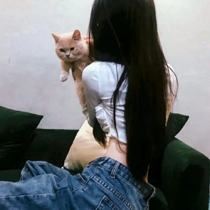 去伪存真